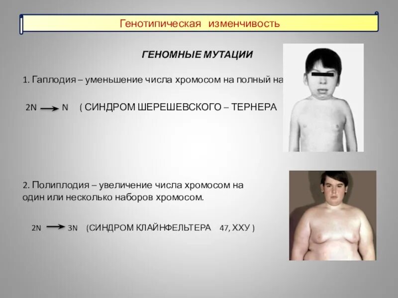Уменьшается число хромосом
