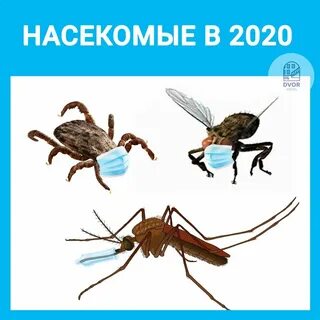 Период мошкары