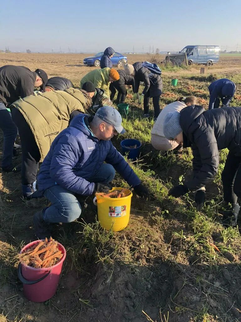 Соберем урожай вместе