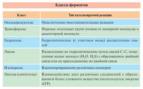 Один фермент катализирует несколько разных реакций