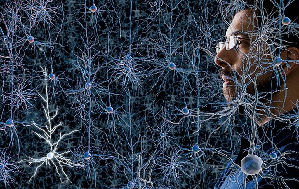 Нейронная сеть. Нейронная сеть человека. Нейросеть человек. Искусственная нейронная сеть. Говорящие картинки нейросеть