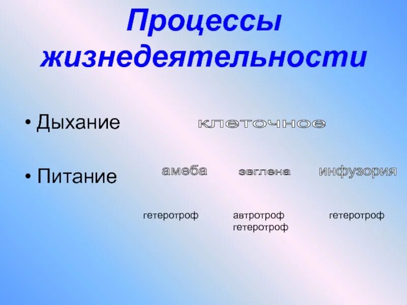 Основные признаки жизнедеятельности. Процессы жизнедеятельности. Процессы жизнедеятельности животных. Процессы диднидеятельно. Основные процессы жизнедеятельности животных таблица.