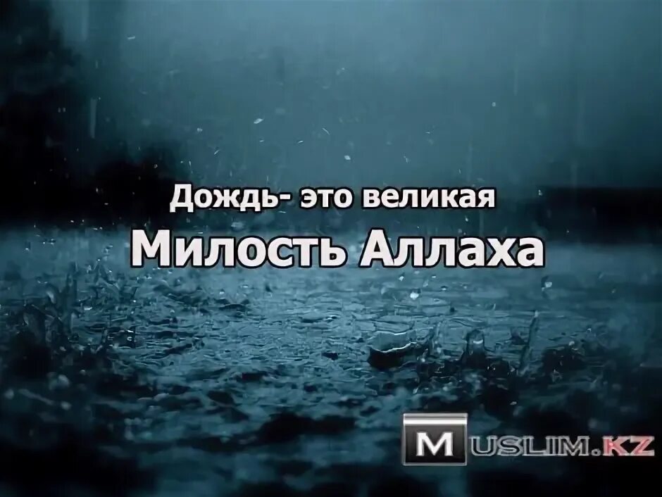В смысле дождь идет. Дождь это милость аллаха. дождь это великая милость аллаха. дождь в исламе цитаты. мусульманские цитаты про дождь.
