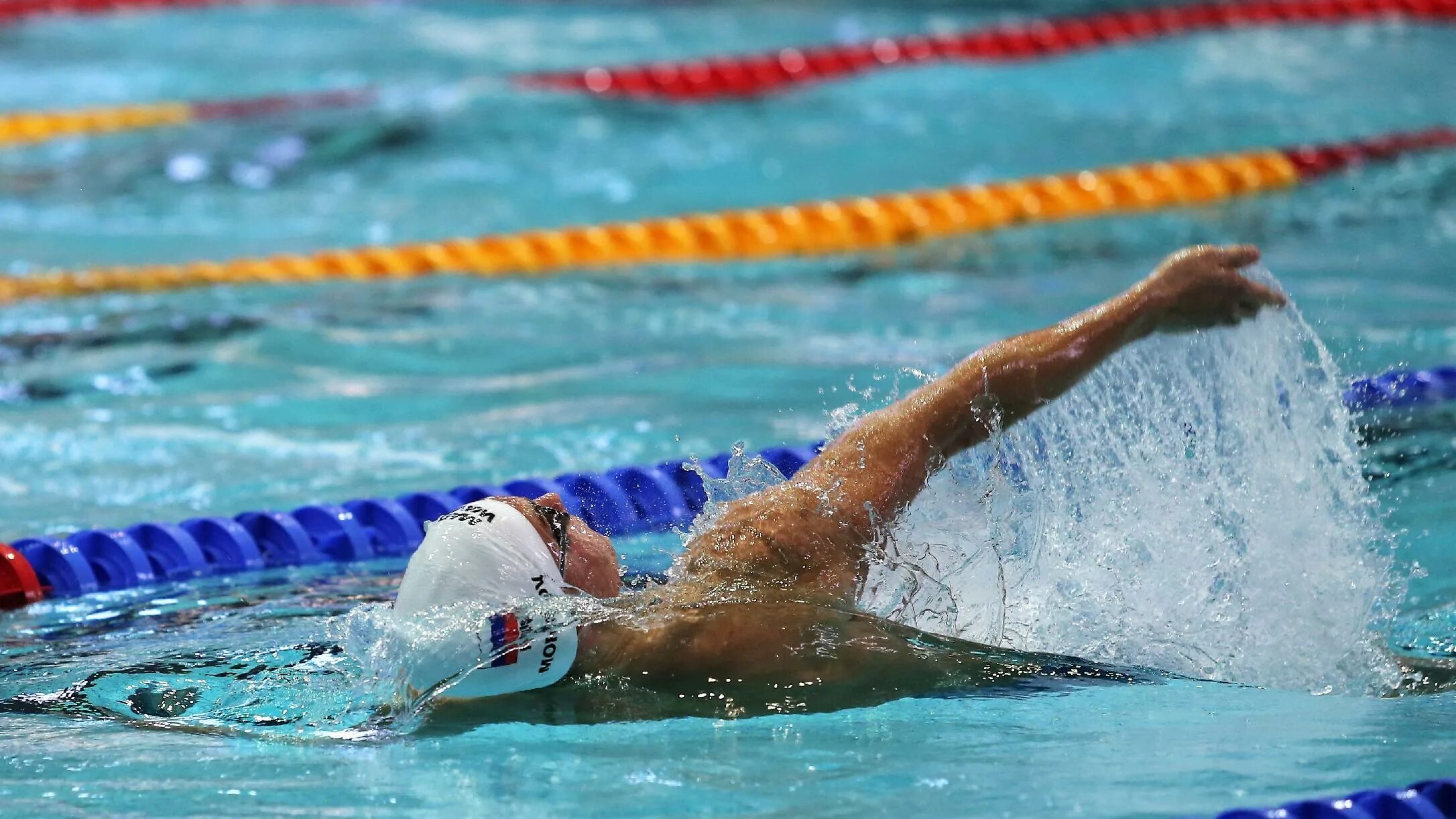 первенство москвы по плаванию 2024. первенство москвы по плаванию. вфп плавание. первенство россии по плаванию. чемпионат россии по плаванию 2022 казань.