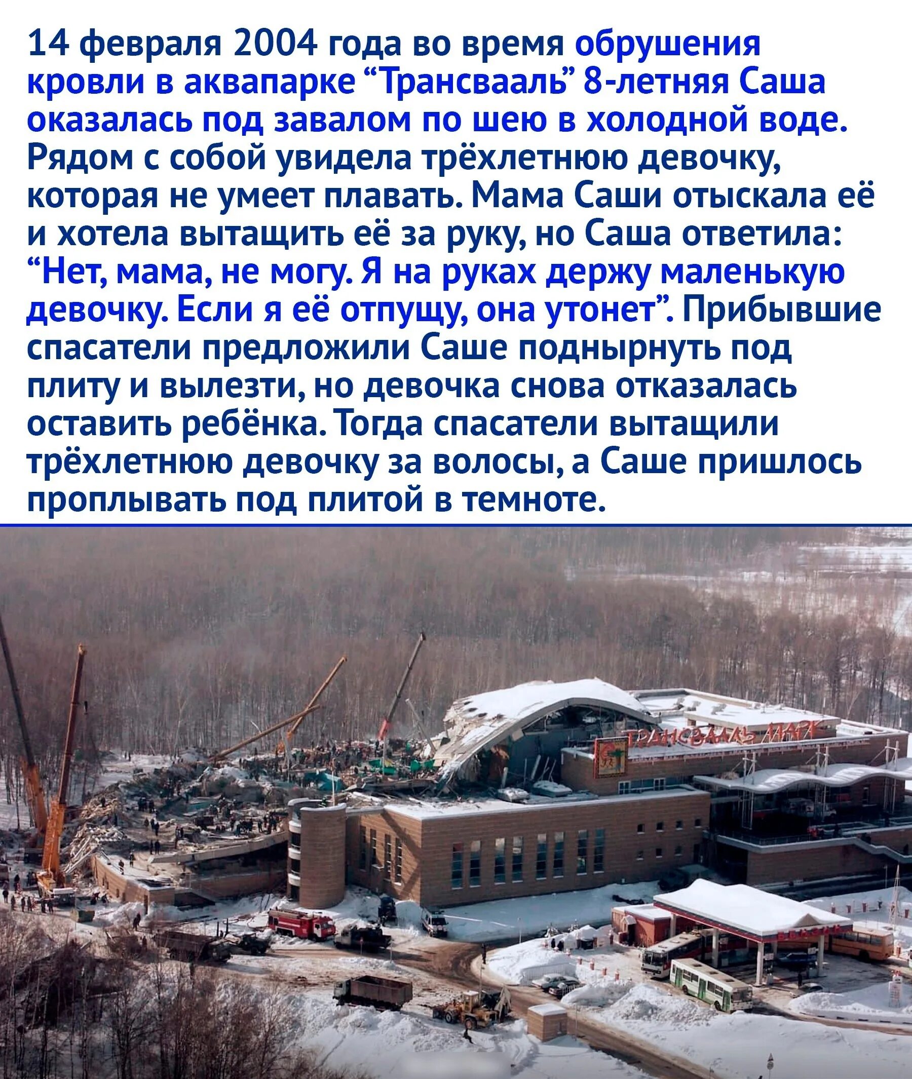 Почему поведение саши при переходе. Почему поведение саши при переходе