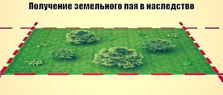 Пай земли. Наследование земельного пая. Наследство по земельному паю. Паевые земли сельхозназначения.