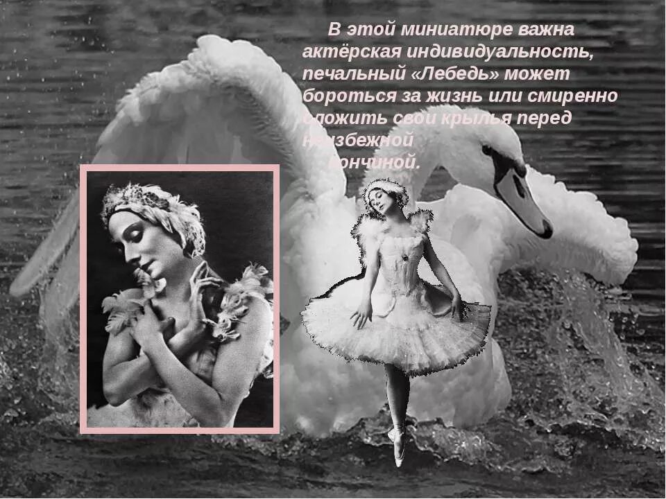 умирающая лебедь слушать. фразы о косметологии в лебедя. плисецкая лебедь сен санс. стихи про девушку лебедь. лебединое озеро мем.