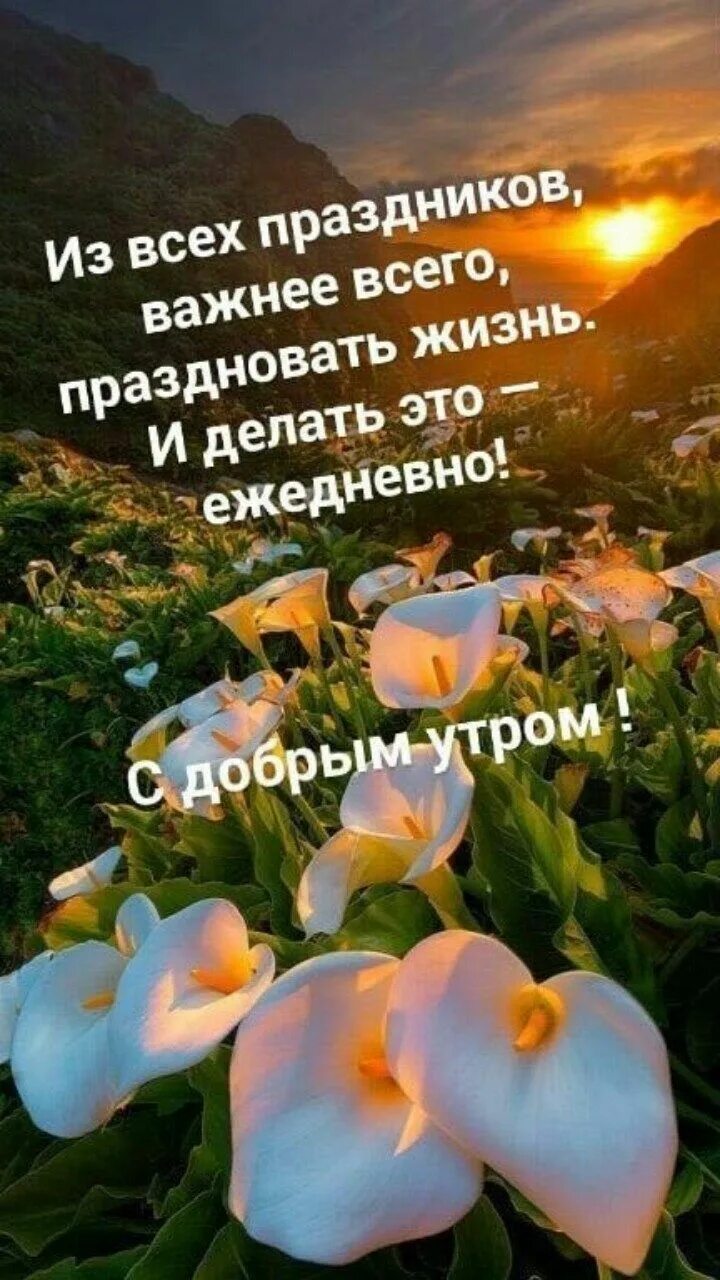 Pin by Светлана on Доброе утро Good morning gif, Good morning quotes, Good morni