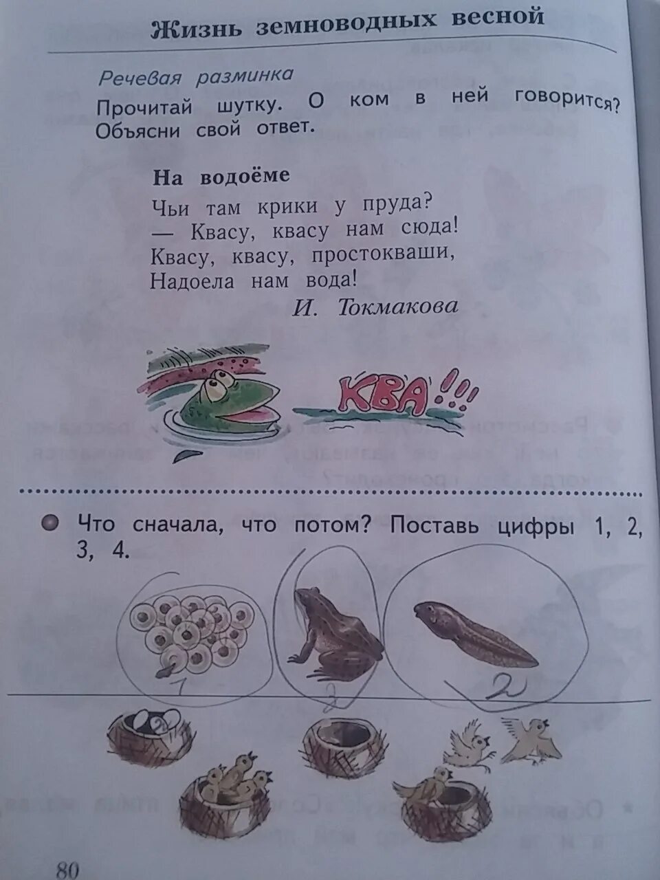 Решебник 1 класса окружающий мир тетрадь. Окружающий мир 1 класс рабочая тетрадь стр 80. окружающий мир рабочая тетрадь страница 80.