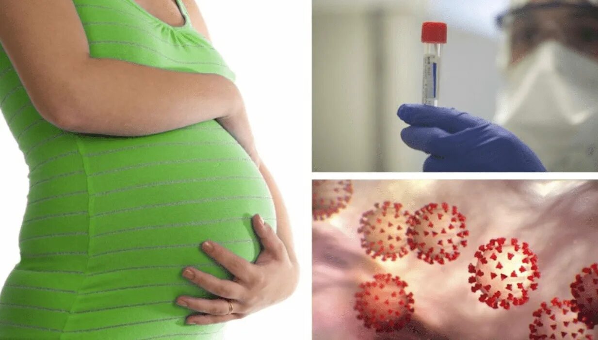 Вирусные заболевания беременных. Вакцинация и беременность. Инфекции при беременности.