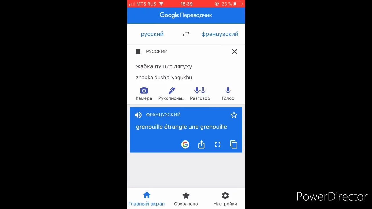 Охота на сов на французском языке прослушать. Охота на сов по французски слушать. Охота на сов переводчик. Охота на сову на французском с переводчиком. Бородатая неясыть.