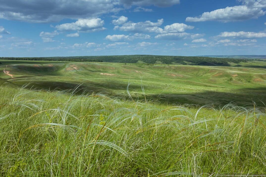 Самарская сергиевск купить. Сергиевский район Самарская область. Гора Шихан Самарская область Сергиевский район. Гора высокая Сергиевский район. Сергеевский район Самарская обалсть.