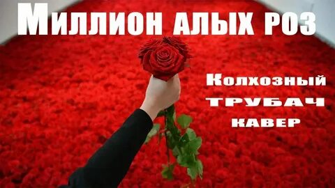 Песни миролюбова красные розы