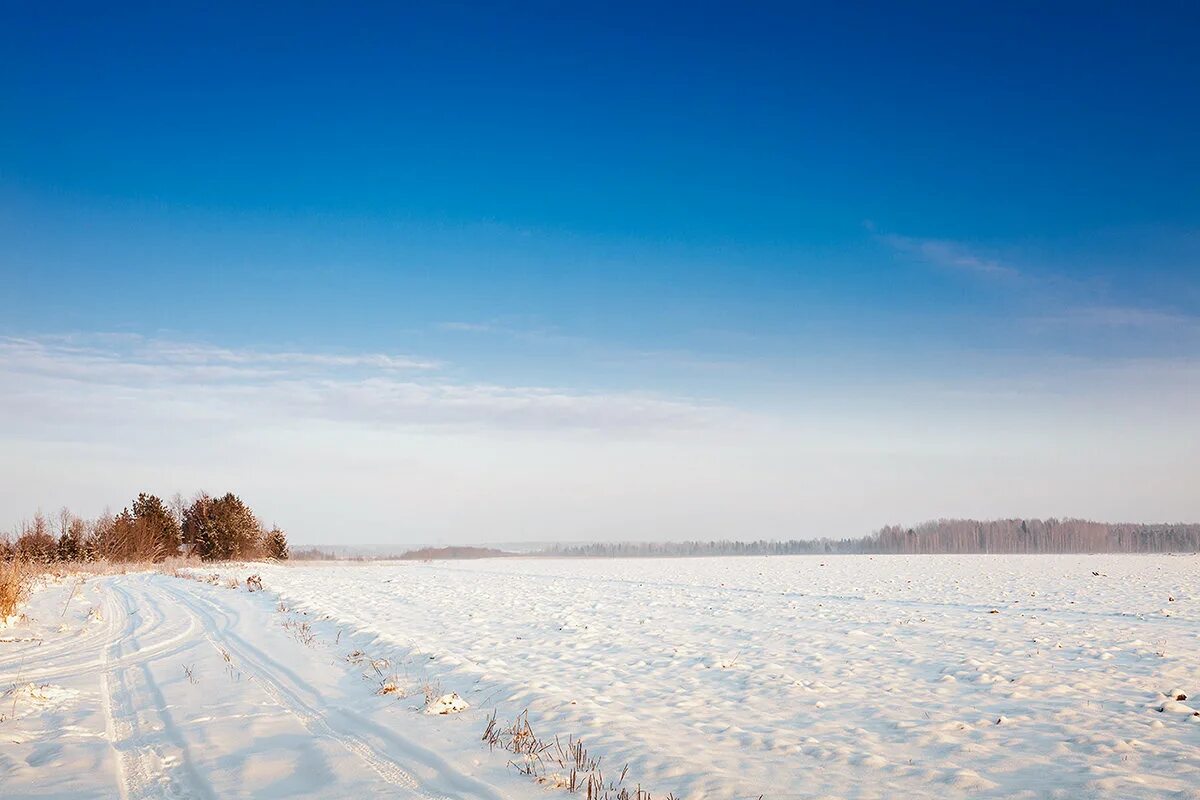 Русская зима. Зимние морозные просторы. Просторы россии зимой. Просторы россии зима. Простор зимнего.