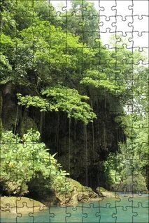 Rivers plants