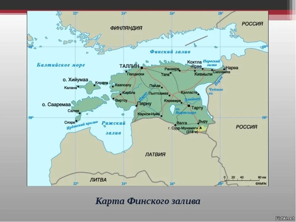 Географическое положение эстонии. Финский залив залив на карте мира. эстония на карте географическое положение. финский залив географическое положение. расположение эстонии.
