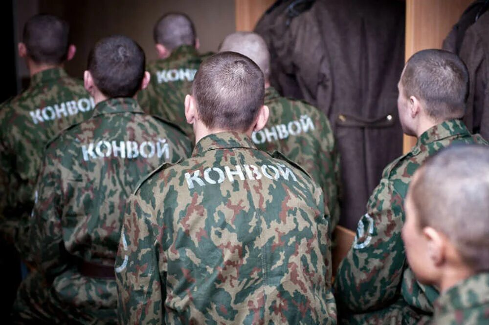 Дисциплинарный батальон мулино. Дисбат мулино 2020. Дисбат 2022. Мулинский дисбат. Отдельные дисциплинарные батальоны.