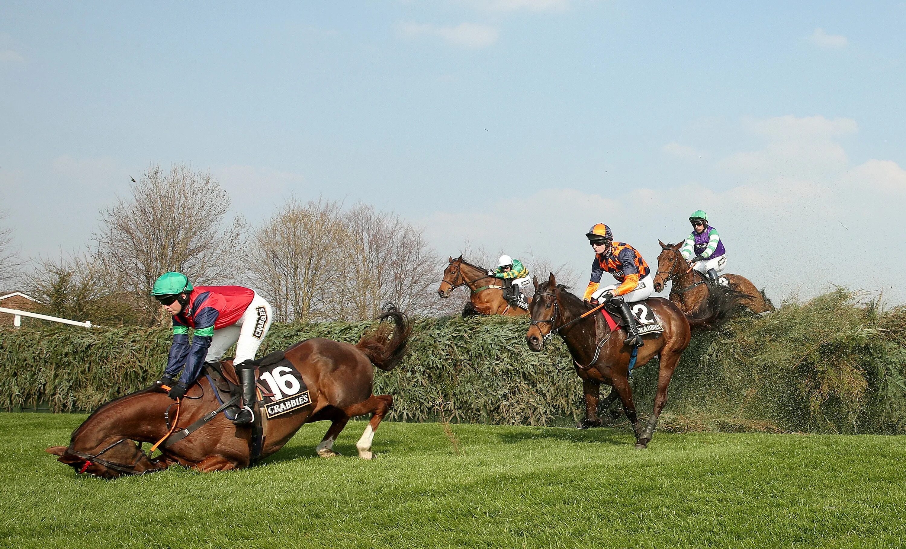 Grand National Horse Race Великобритании. Скачки стипль ЧЕЗ. Стипль-ЧЕЗ конный спорт. Скачки стипль ЧЕЗ В Англии 2023.