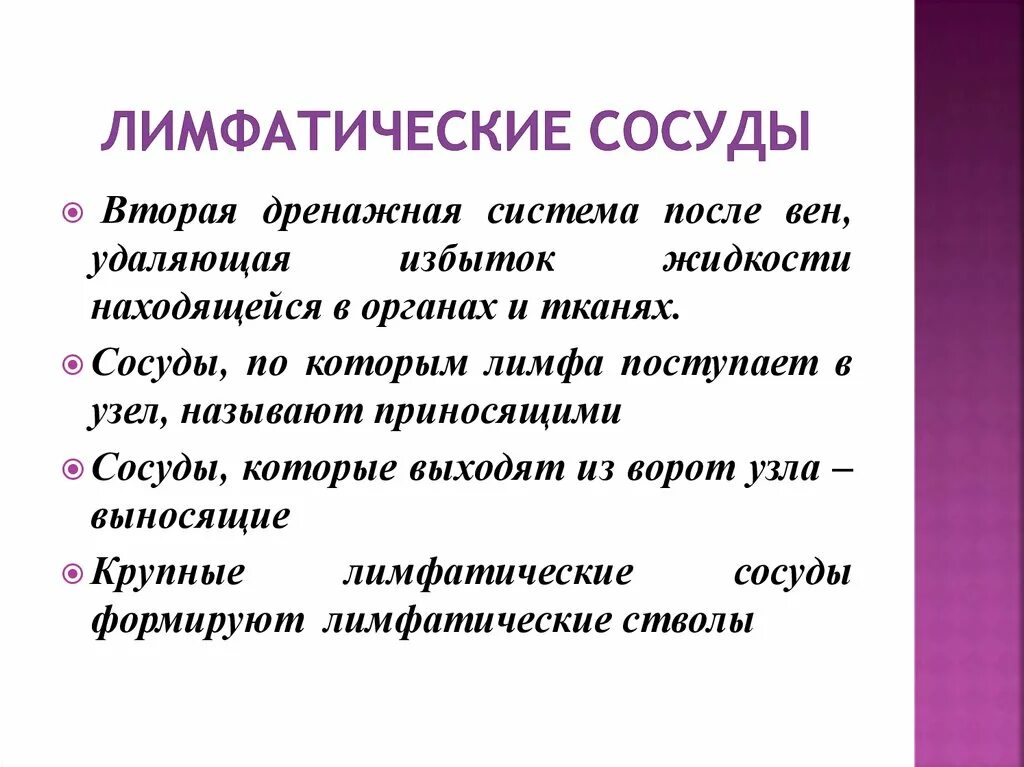 В лимфатический сосуд поступают. Лимфатические сосуды функции. Лимфососуды функции. Лимфатические капилляры функции. Лимфатические сосуды функции кратко.