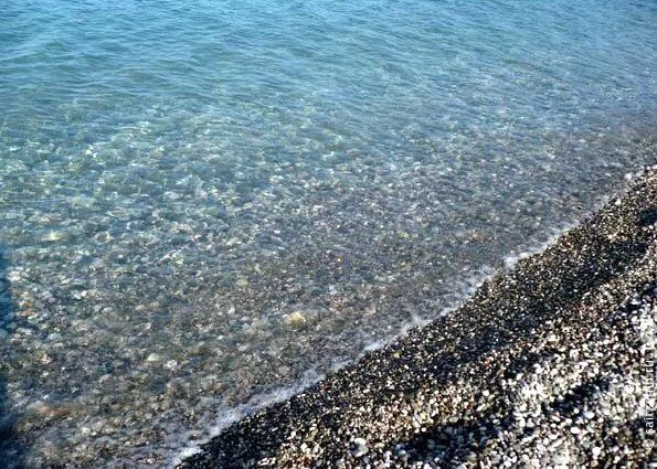 Черное море абхазия. Пицунда абхазия море. Черное море абхазия. Пляж рыбзавод пицунда лдзаа. Абхазия пицунда 2022.