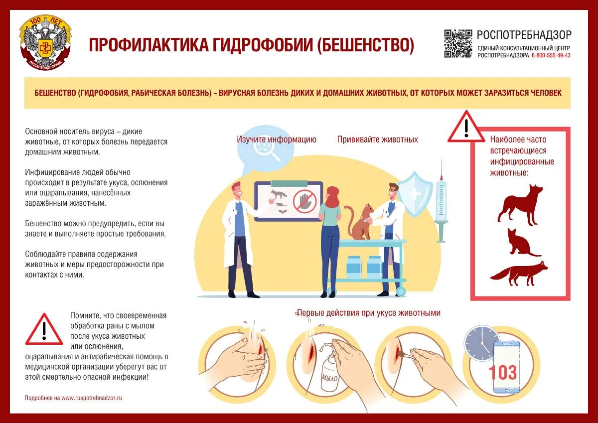 Человек заболел бешенством. Профилактика бешенства. Профилактика бешенства памятка. Всемирный день борьбы с бешенством. Профилактика бешенства у людей.