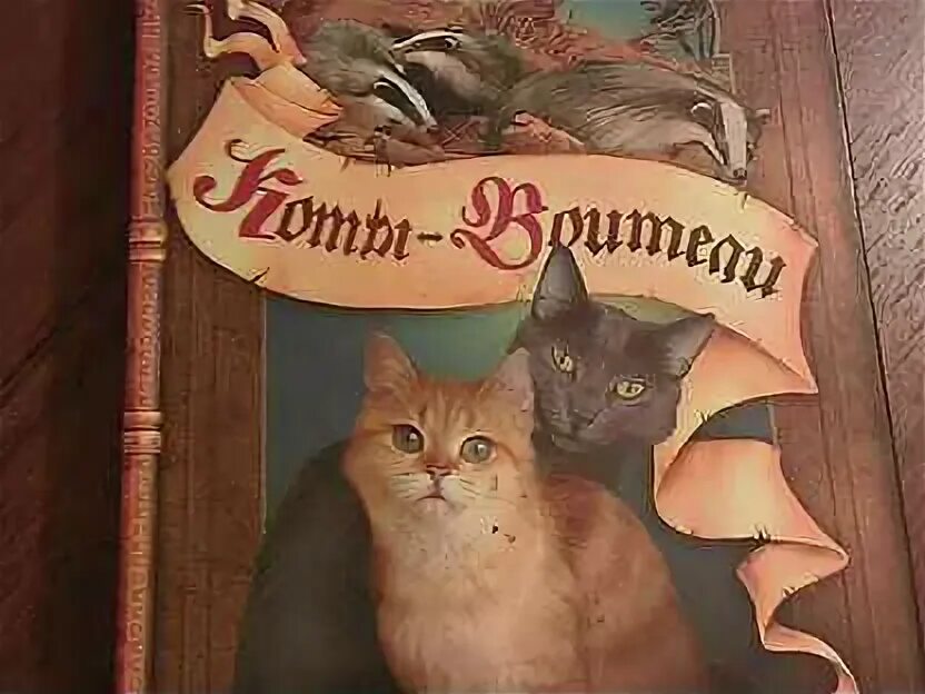 Коты воители сумерки читать. Эрин хантер коты воители сумерки. польские обложки книг коты воители. коты воители книга 2019. коты воители книга отверженные.