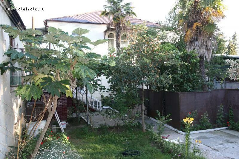 абхазия нижняя эшера частный сектор. снять дом в сухуми. гостевой дом на набережной махаджиров сухум. снять дом в сухуми. снять дом в сухуми.