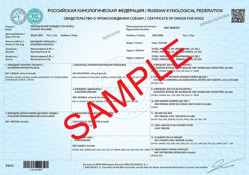 Верк ркф. Верк ркф. Сертификат на собаку с родословной. Свидетельство ркф. Всероссийская единая родословная книга ркф.