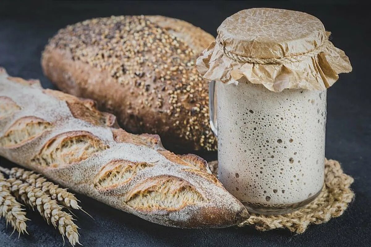 Хлеб на закваске простой рецепт. Sourdough Starter. Левито Мадре. Хлеб на закваске Левито Мадре. Пшеничный хлеб на закваске.