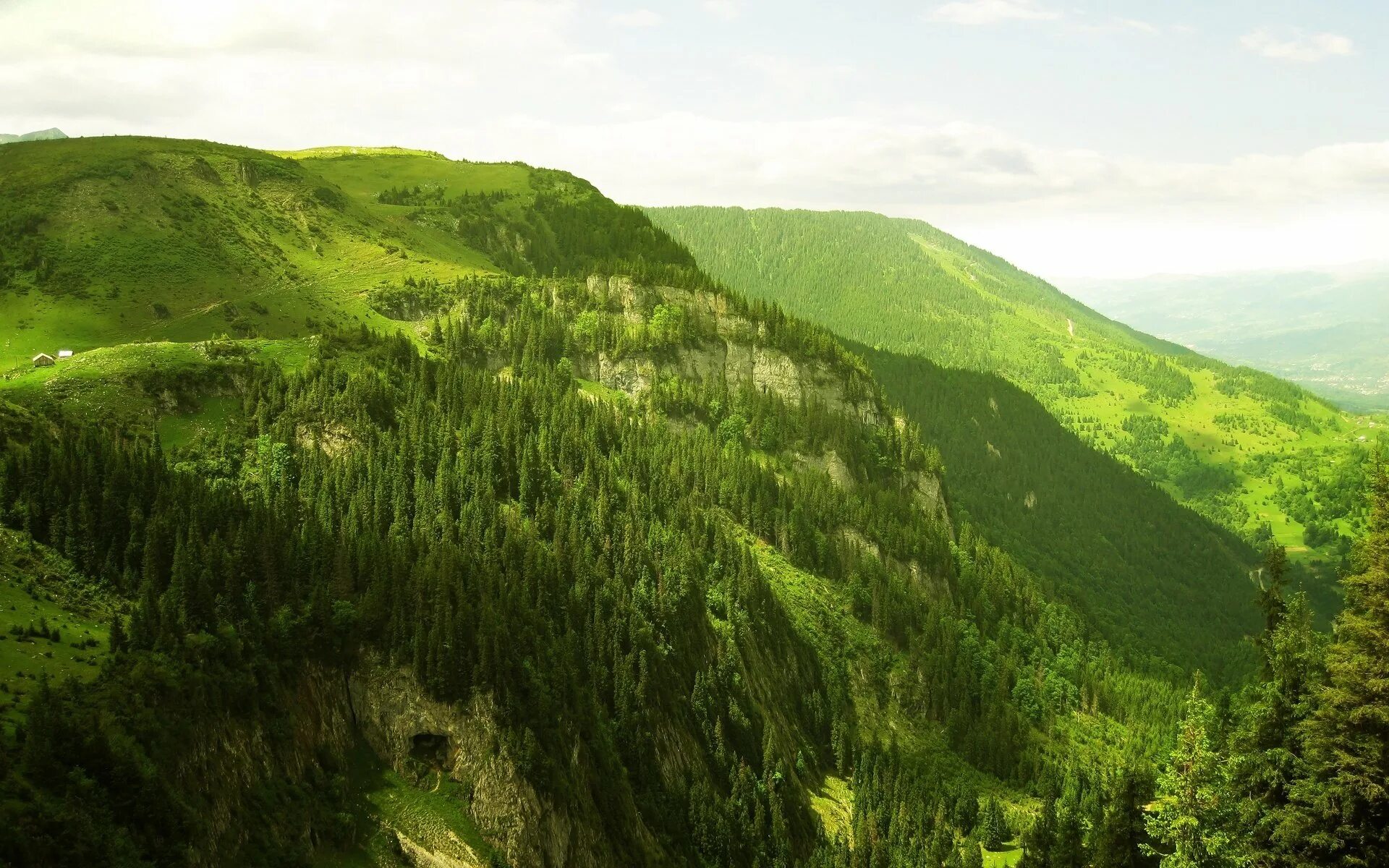 Горные холмы. Холмы Бугры горы зеленые. Покрытые зеленью горы. Горы зелень. Зеленые горы.