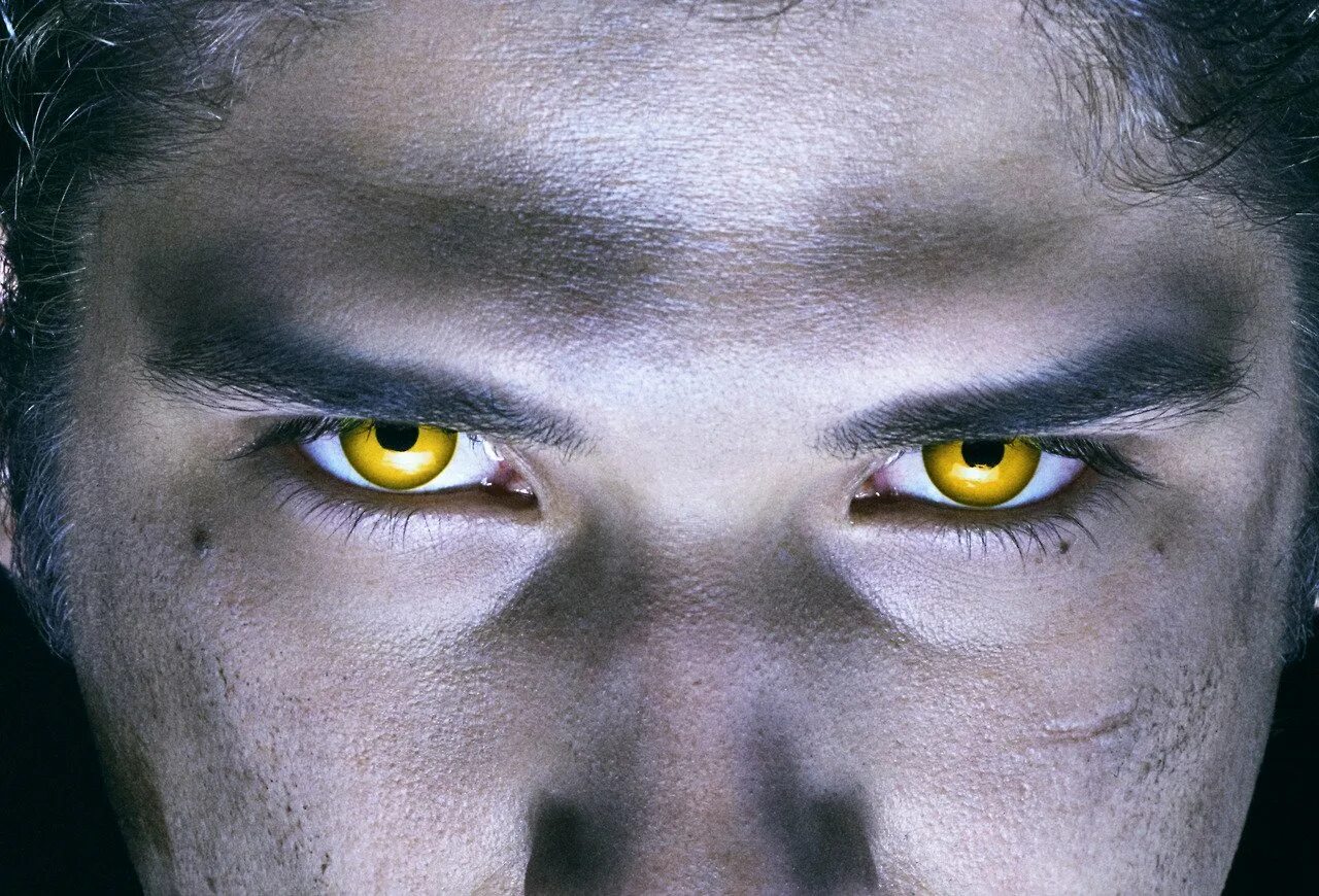 Волчьи глаза у человека. Линзы "волчий глаз". Цвет глаз волка. Волчьи глаза у человека. Волчий цвет глаз.