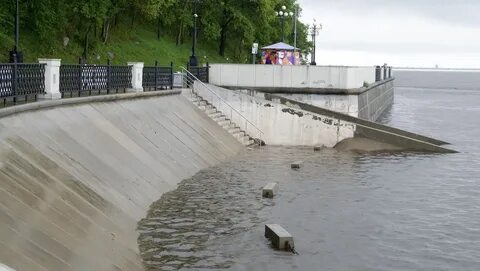 Амур хабаровск сегодня