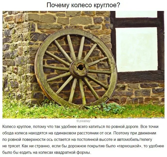 Колесо ответов. Колесо фортуна с заданими. Колесо ответов. Колесо ответов. Колесо фортуны для детей.