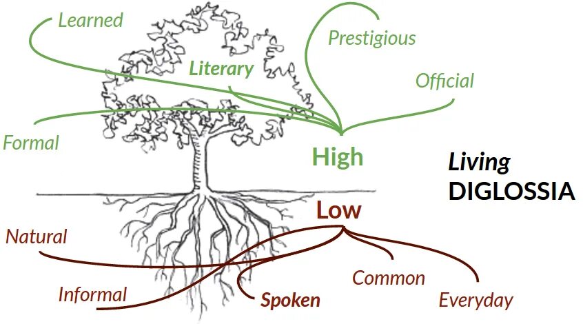 Диглоссия. Диглоссия это в языкознании. Диглоссия примеры. Диглоссия картинки.