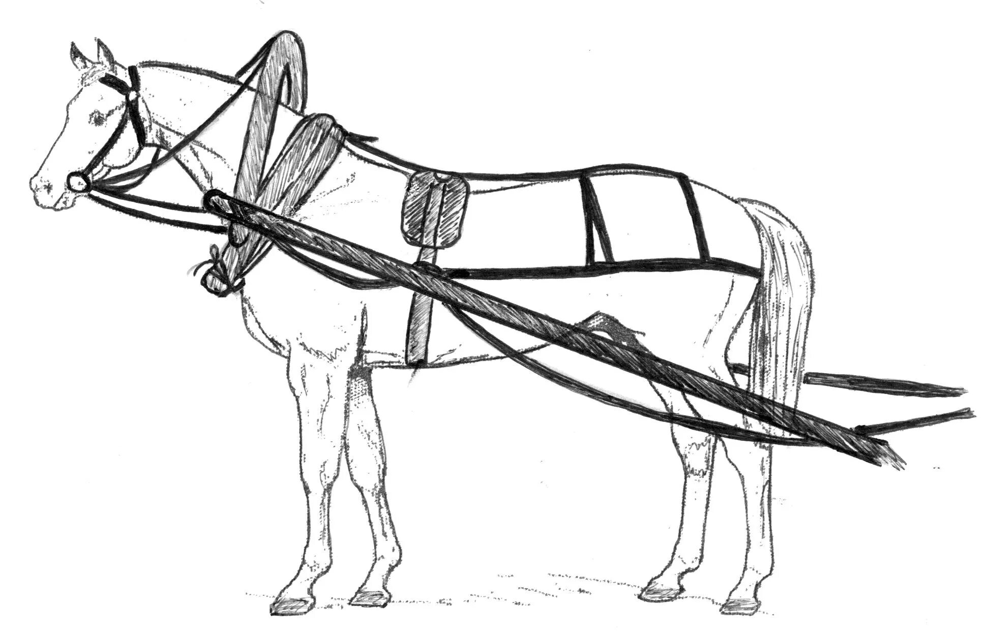 Постромочно-Дышловая запряжка. Оглобельно постромочная запряжка. Пароконная запряжка. Оглобельно дуговая запряжка. Часть упряжи 5