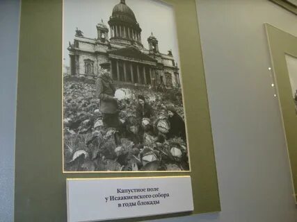 Коллекция всесоюзного института растениеводства впр