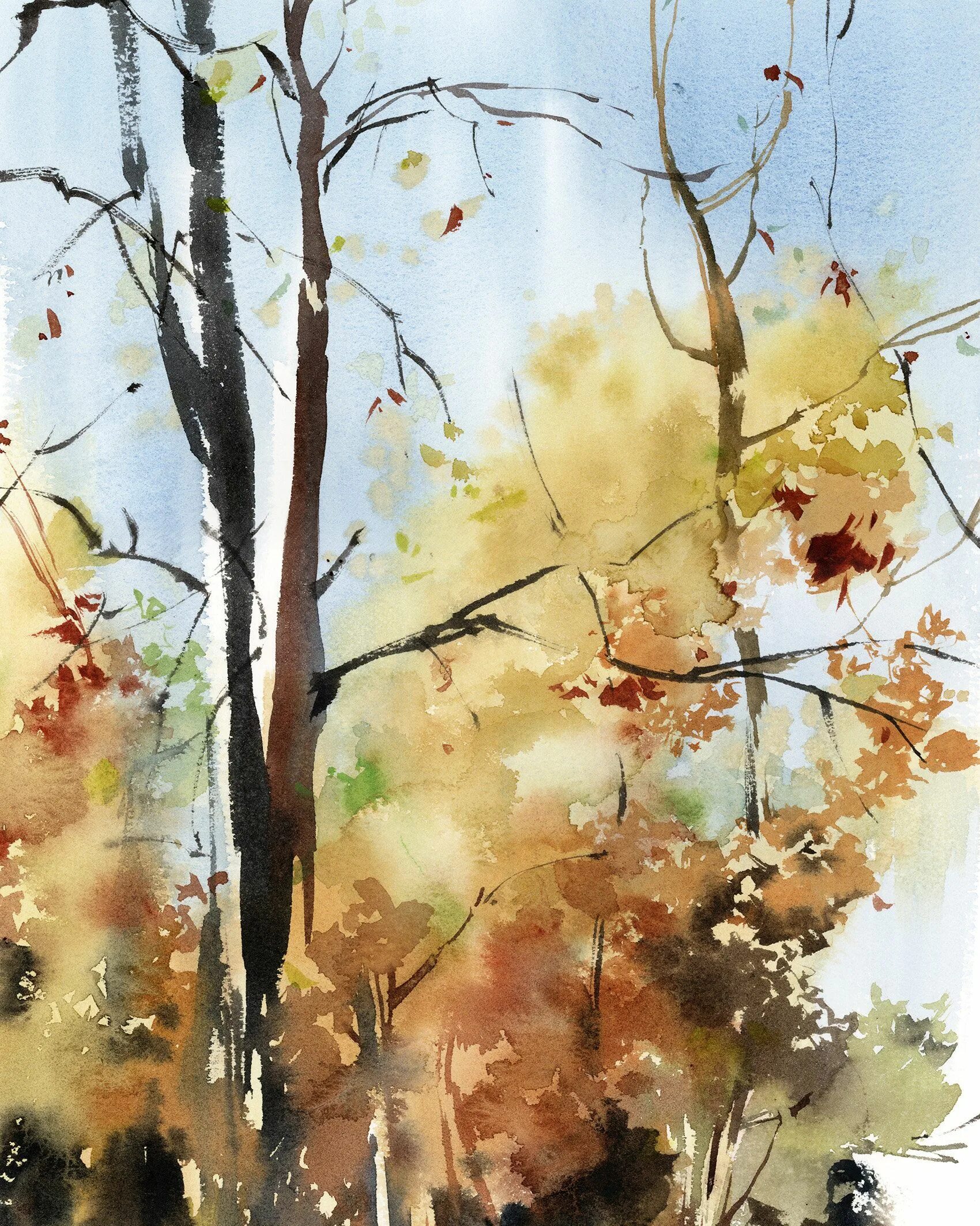 Осень акварелью 3 класс. Rachel mcnaughton акварель пейзажи. Осень акварель. Золотая осень рисунок. Осень акварелью 3 класс.