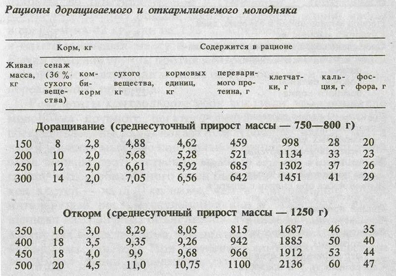 Рацион кормления Бычков до 6 месяцев. Кормление Быков производителей мясных пород таблица. Рацион кормления Бычков от 2 месяцев. Рацион комбикорма для Бычков. Прирост теленка