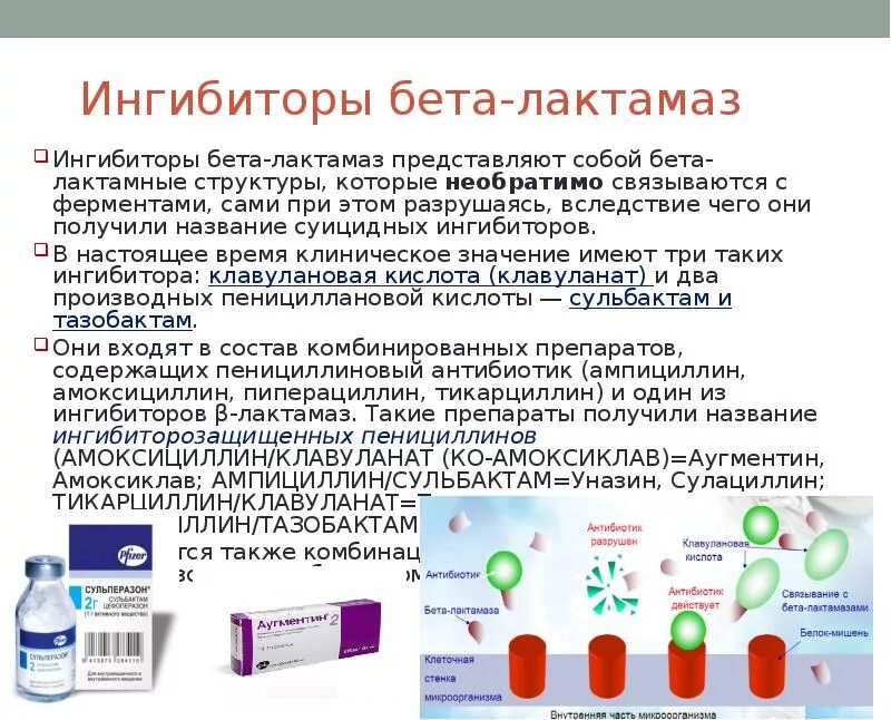 Пенициллин относится к антибиотикам. Бета-лактамные антибиотики микробиология. Механизм действия бета-лактамных антибиотиков ингибирование. Амоксициллин клавуланат защищенные пенициллины. Ингибиторы бета лактамаз.