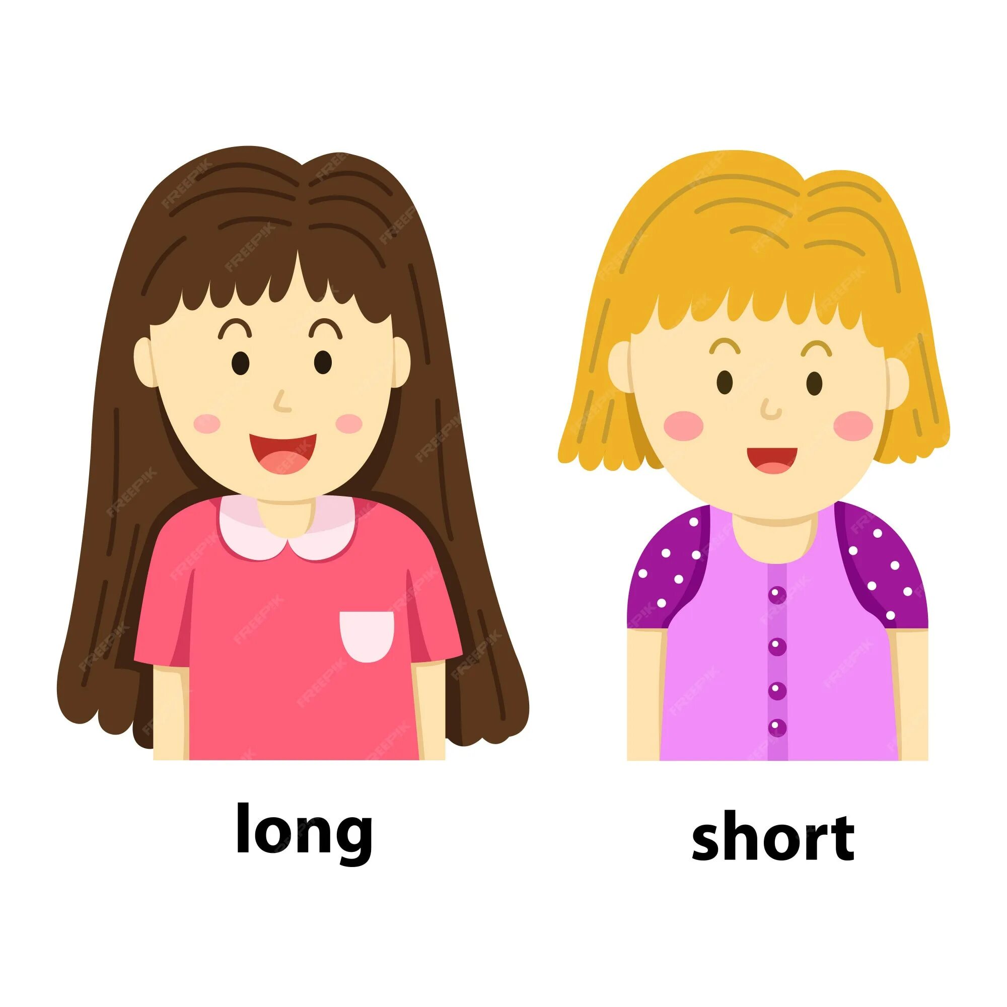 Opposites short. Прямые волосы картинка для детей. Long short. Длинные и короткие волосы картинка для детей. Hair волосы английский для детей.