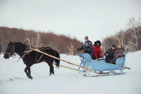 Где находятся дровни