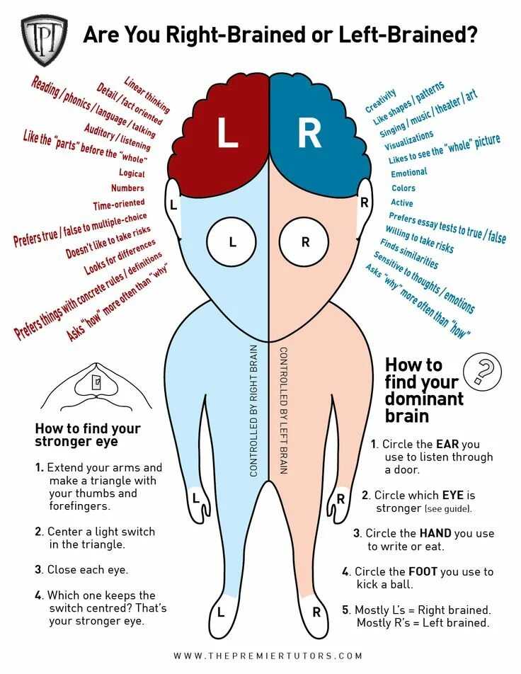 Being left. Left and right Brain. Are you right or left Brain. Left Brain right Brain. The left rights the left rights.