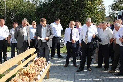 Филиал дубно