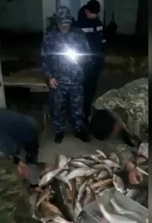 Случай крупный