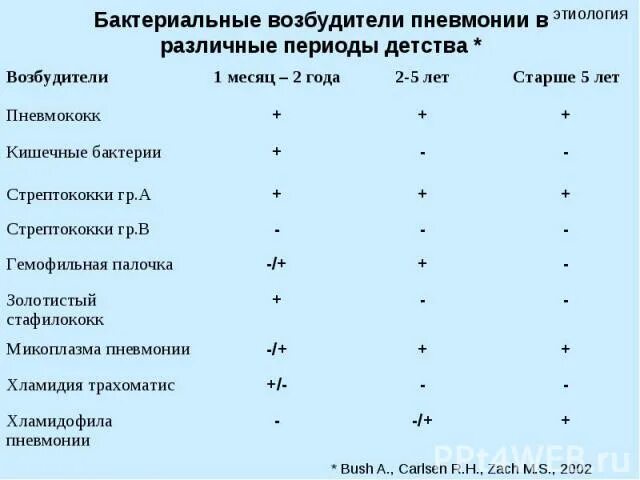 Какие возбудители вызывают пневмонию. Бактериальные пневмонии, основные возбудители.. Бактериальная пневмония возбудители. Бактерии вызывающие пневмонию. Бактериальная пневмония бактерия.