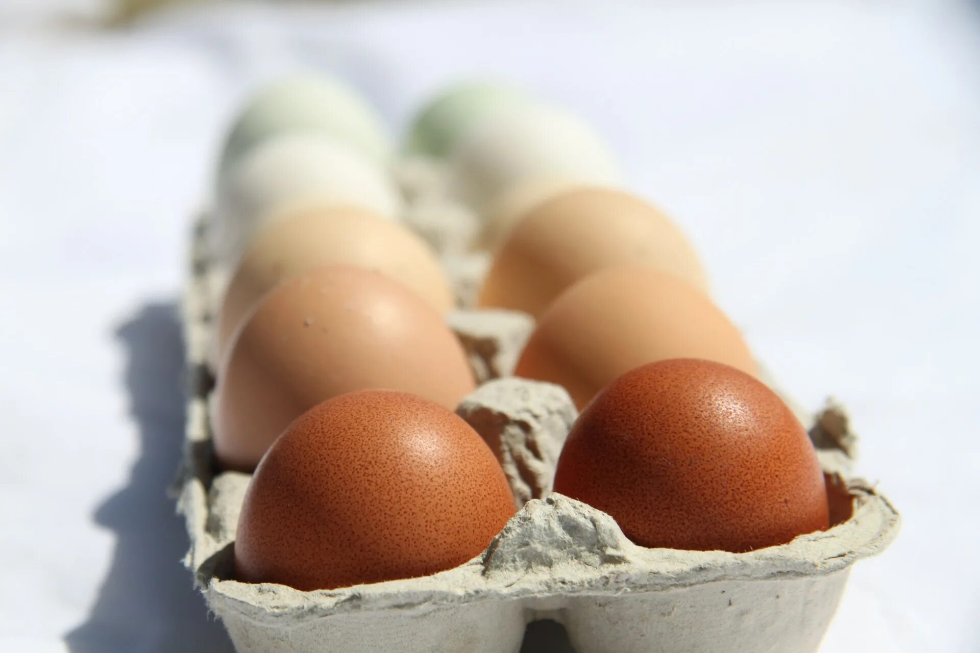 Яйцо домашнее. Яйцо (пищевой продукт). Egg , 3,5 литра. Освещение страусиных яиц. Маран яйца.
