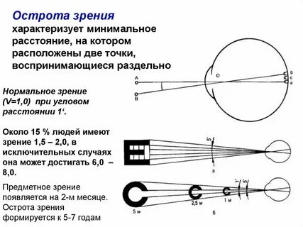 Определение зрению и понятию