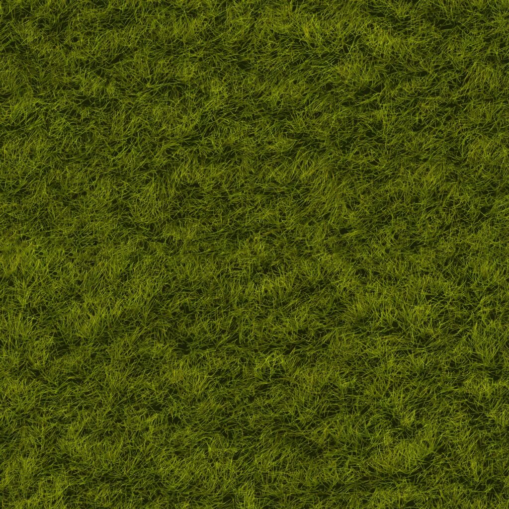 Seamless texture