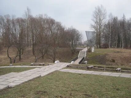 Петербургское шоссе пушкин