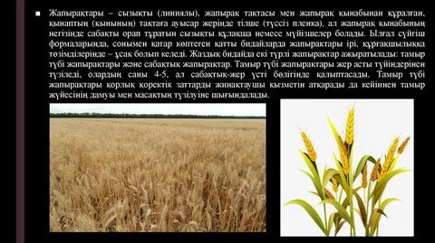 Үлкен кеуделі жалаңаш қыз жеке порно